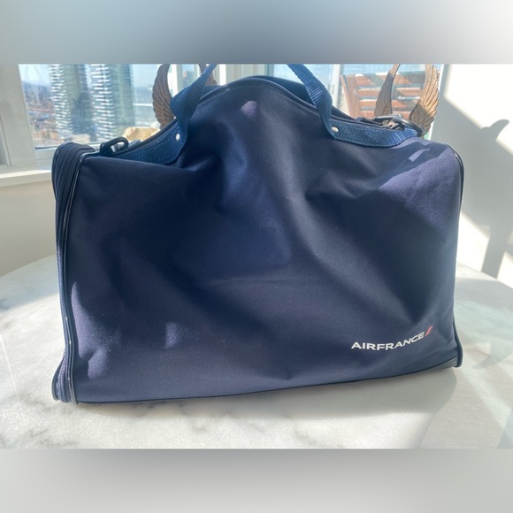 International Flight Approved Pet Carrier. Roomy. Will fit a pug or frenchie. - Picture 2 of 10